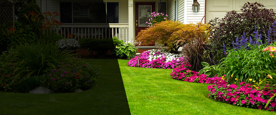 Sylvester Landscapers