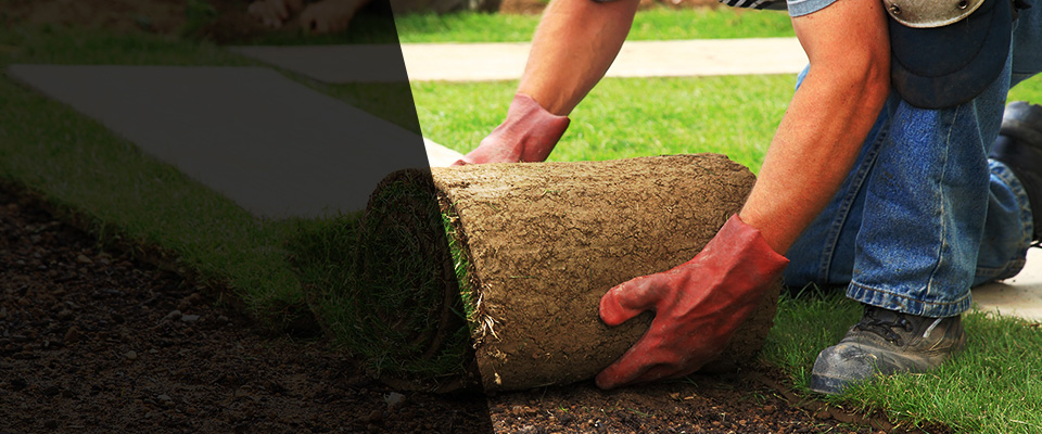 Sylvester Landscapers